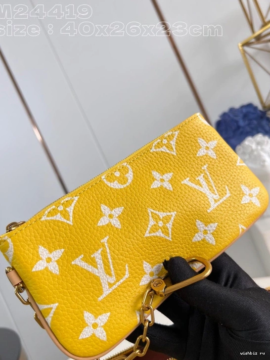 WIS SPEEDY 40 Louis Vuitton 1202